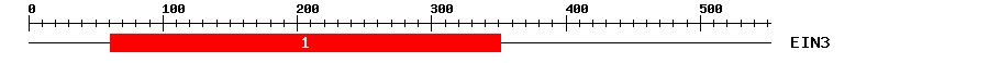 Signature Domain
