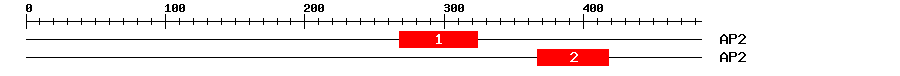 Signature Domain