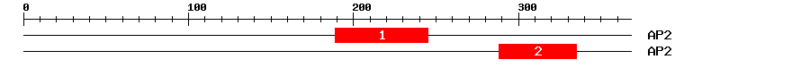 Signature Domain