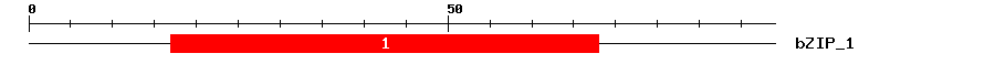 Signature Domain