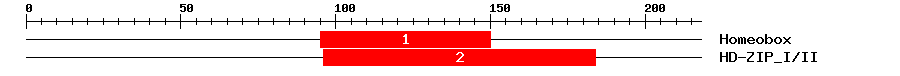 Signature Domain