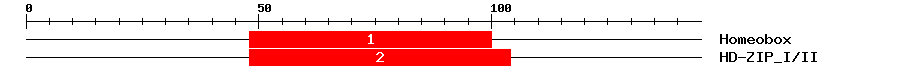 Signature Domain
