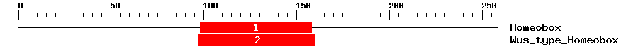 Signature Domain