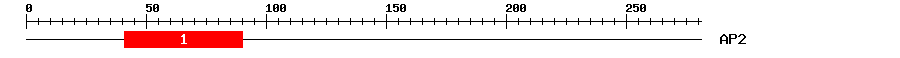 Signature Domain