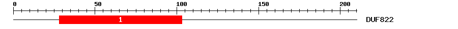 Signature Domain