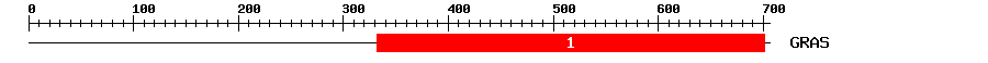 Signature Domain