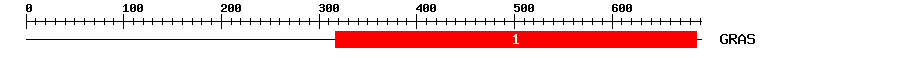 Signature Domain