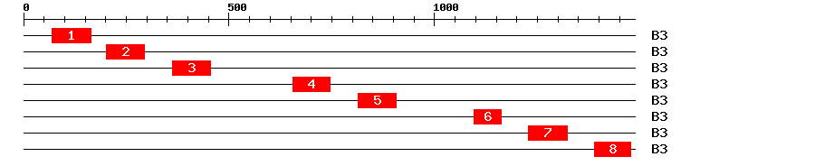 Signature Domain