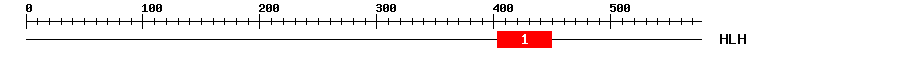 Signature Domain