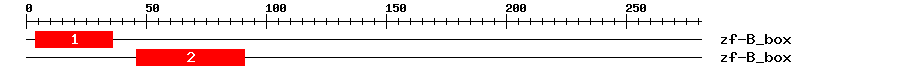 Signature Domain