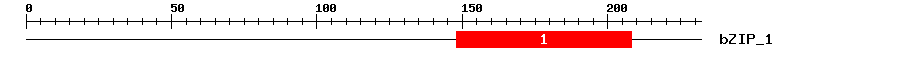 Signature Domain