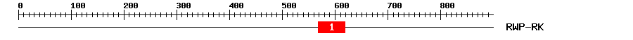 Signature Domain