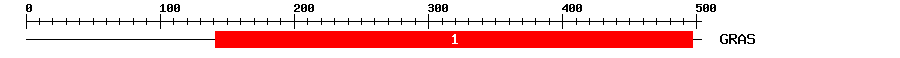 Signature Domain