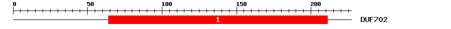 Signature Domain