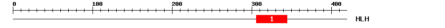 Signature Domain