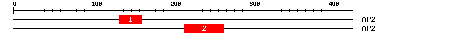 Signature Domain