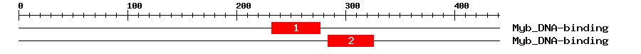 Signature Domain