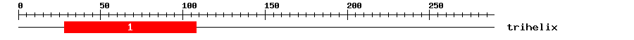 Signature Domain