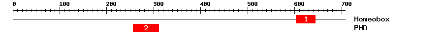 Signature Domain