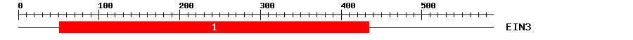 Signature Domain