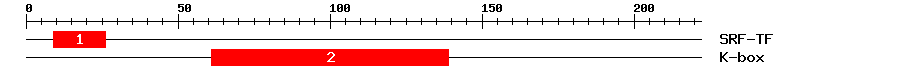 Signature Domain