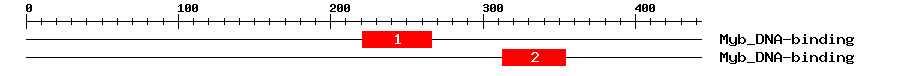 Signature Domain