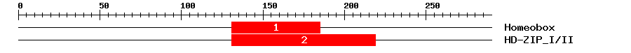 Signature Domain