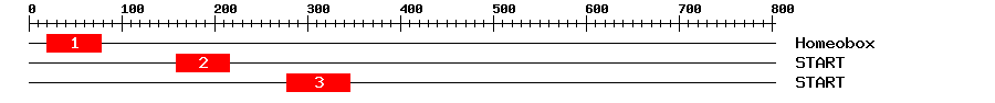 Signature Domain