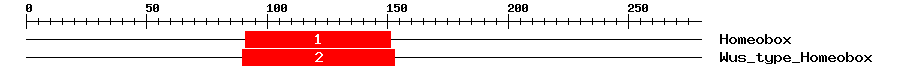 Signature Domain
