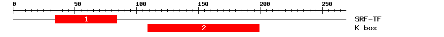 Signature Domain