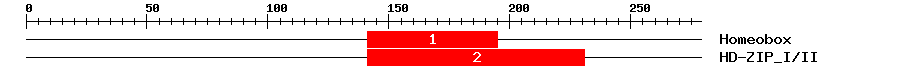 Signature Domain