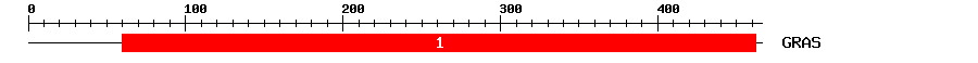 Signature Domain