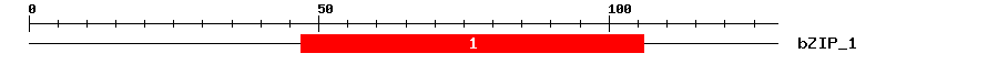 Signature Domain