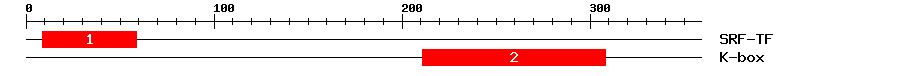 Signature Domain