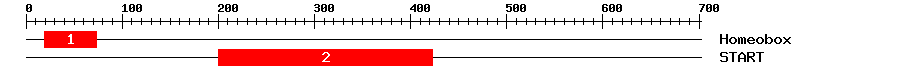 Signature Domain
