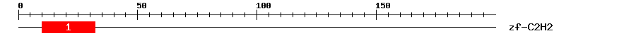 Signature Domain