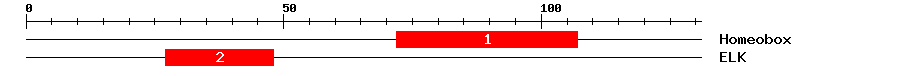 Signature Domain