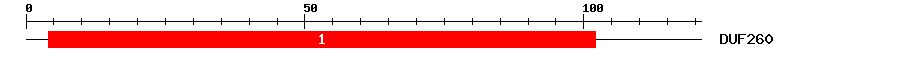 Signature Domain