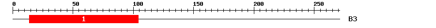 Signature Domain