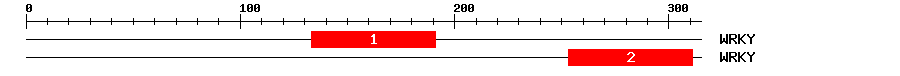 Signature Domain