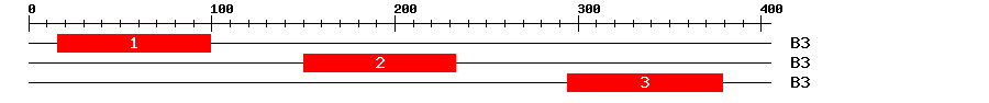 Signature Domain