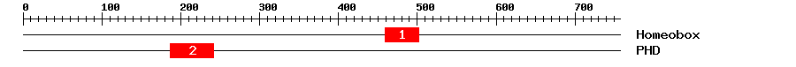 Signature Domain