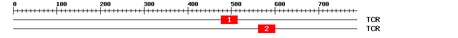 Signature Domain