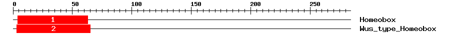 Signature Domain