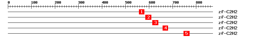 Signature Domain