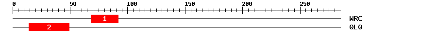 Signature Domain