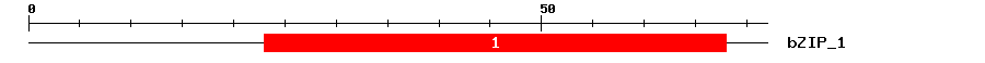 Signature Domain