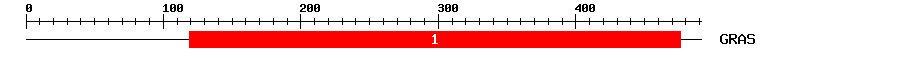 Signature Domain