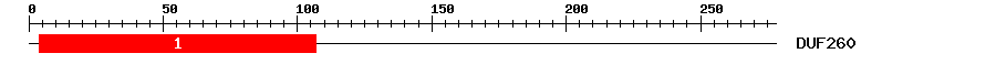 Signature Domain