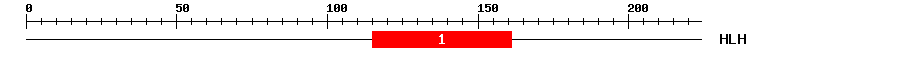 Signature Domain